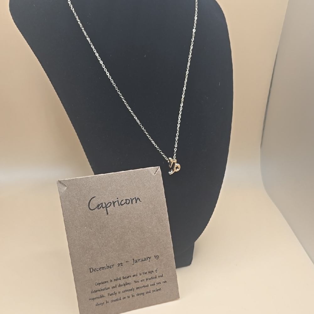 Capricorn Zodiac Necklace | Gold Chain | Astrology Jewelry | Gift Ready